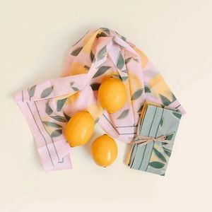 NWT Jilly Box tentree Scarf